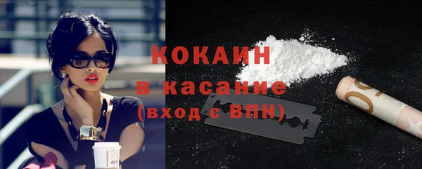 гидра Арсеньев