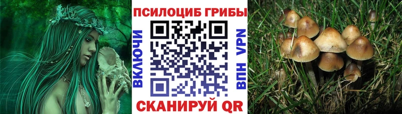 Псилоцибиновые грибы Psilocybine cubensis  Купить  Мантурово 